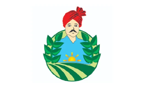 Baghel International