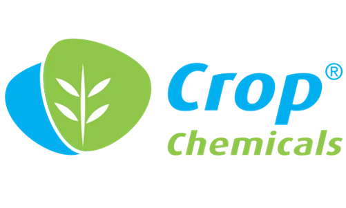 Client Logo 38