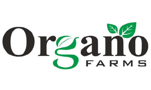 Client Logo 5